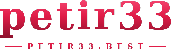 petir33 logo